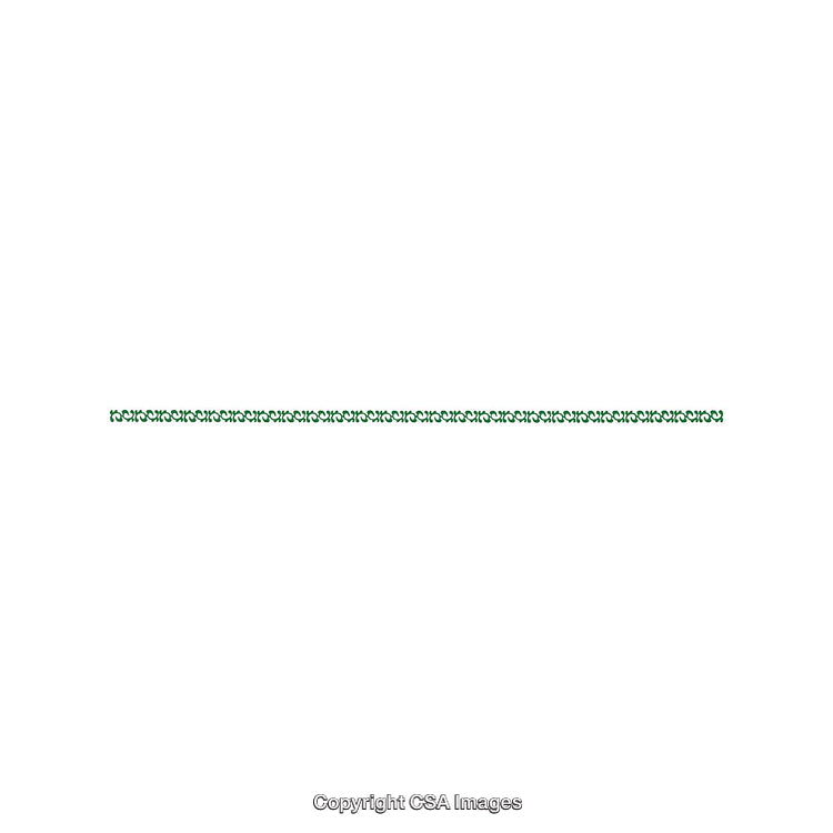 Elegant Green Decorative Border Design Isolated on a White Background