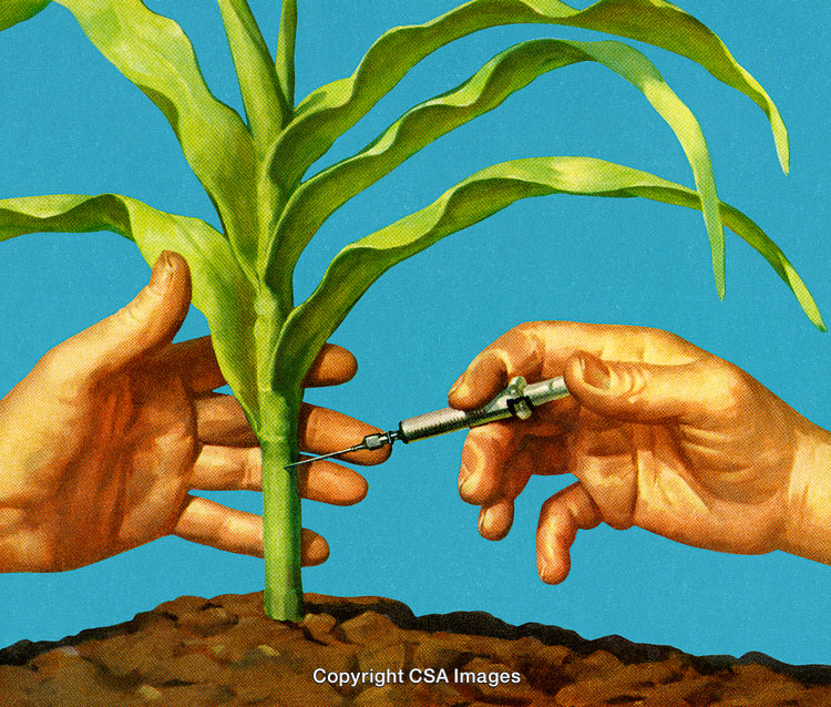 Hands Injecting a Plant Stem in a Conceptual Agricultural Scene