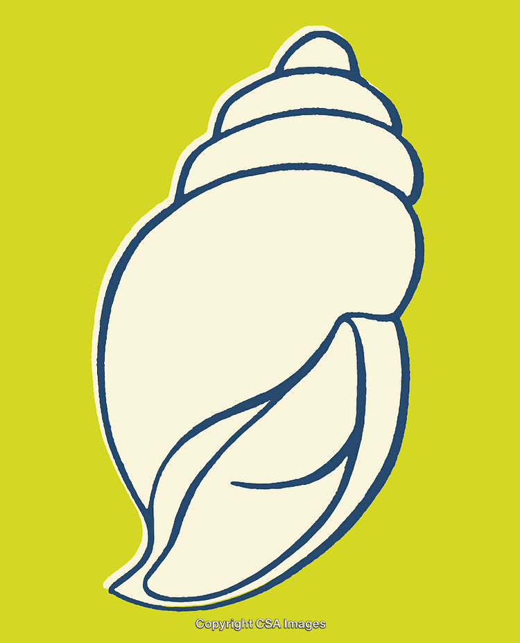 Minimalistic Line Art of a Seashell on Bright Green Background