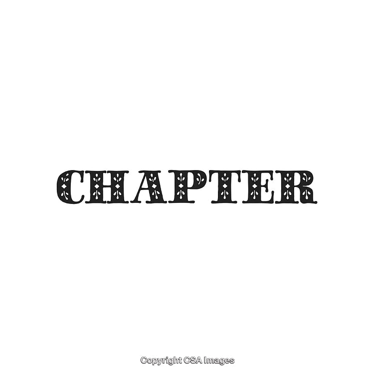 Bold Western Typography Display With Decorative Font Patterns and Detailing