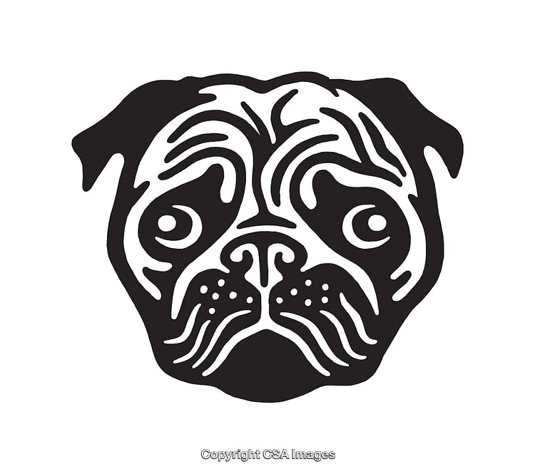 Black And White Line Art Illustration Of a Pug Face