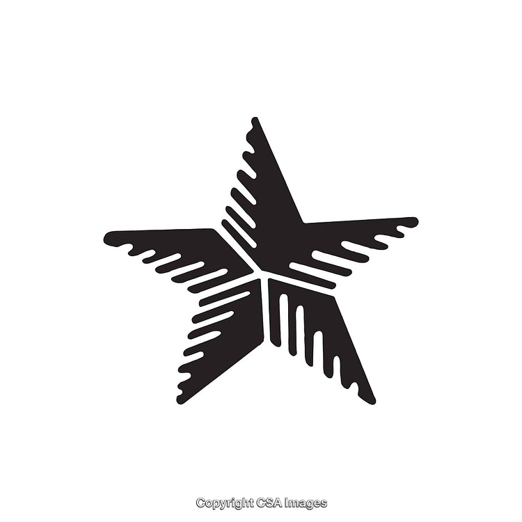 Stylized Star Symbol with Geometric Black and White Design