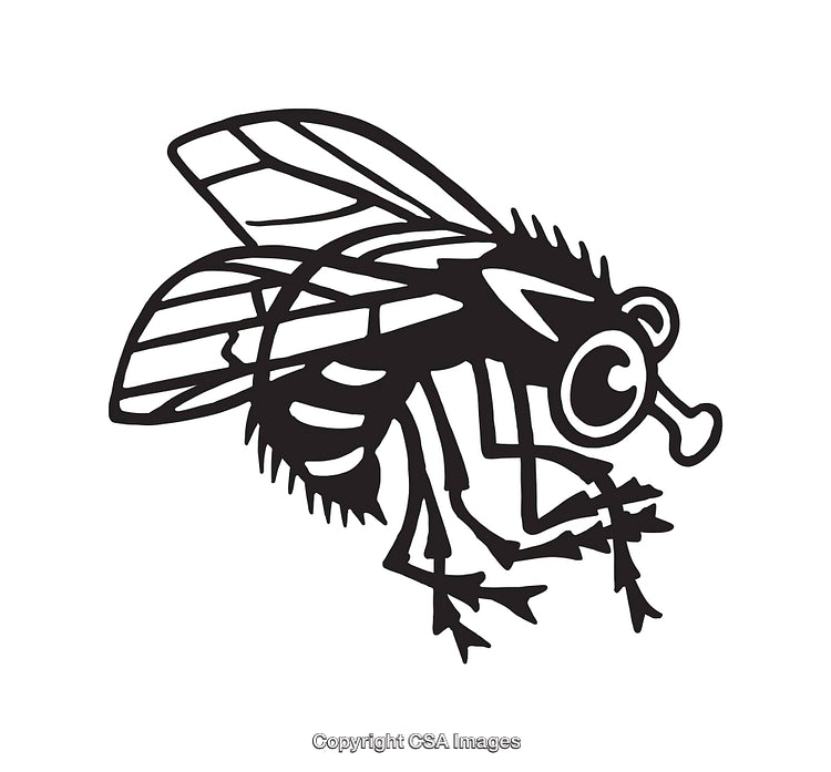 Black and White Line Art Illustration of a Minimalist Fly Design