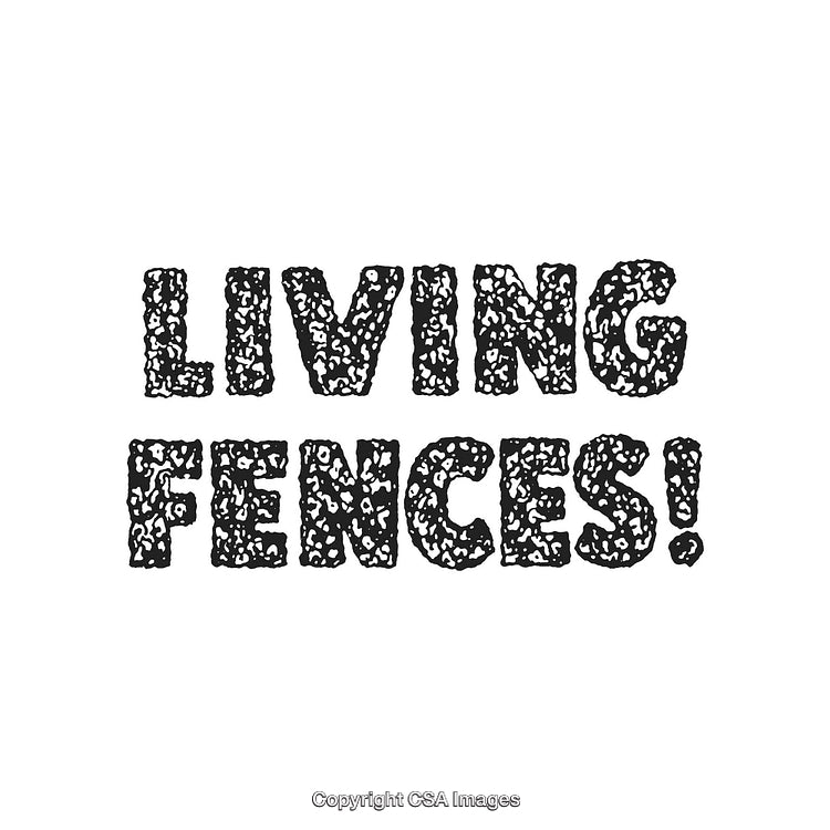 Stylized Black and White Living Fences Design with Textured Typography