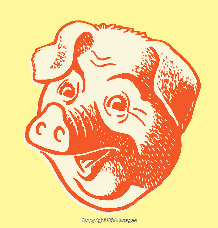 Vintage Pig Illustration in Retro Color Line Art Style