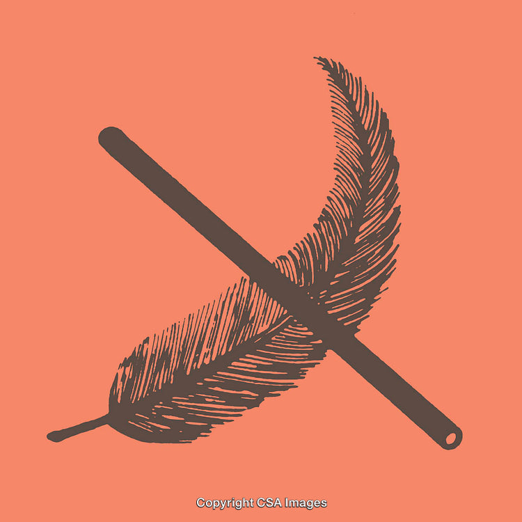 Elegant Line Art Illustration of a Feather with Minimalist Design