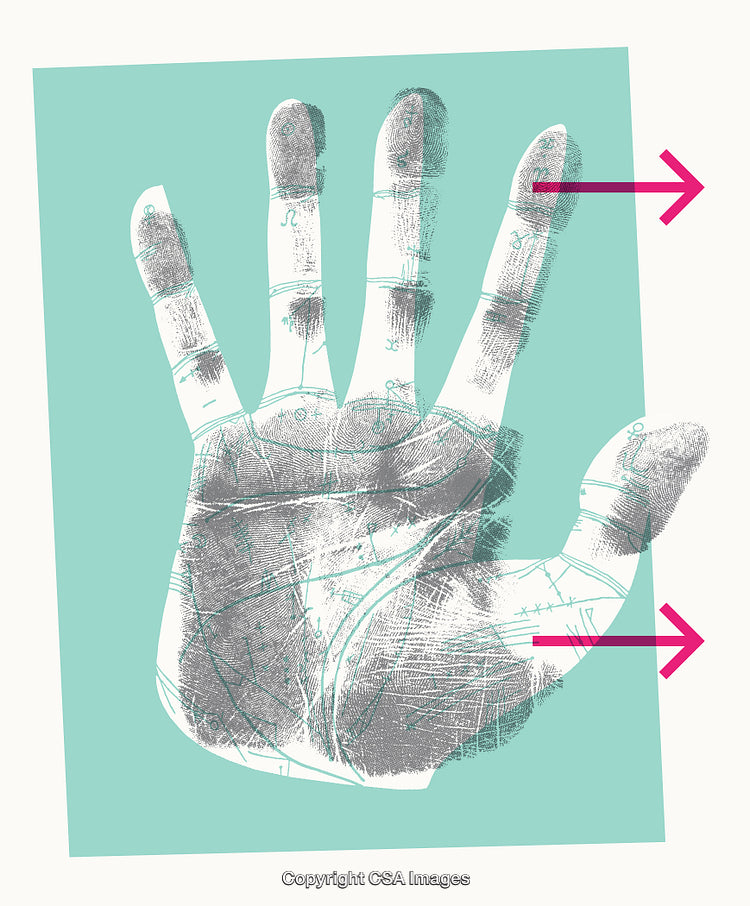 Illustrated Palmistry Diagram with Finger Lines and Pink Arrows