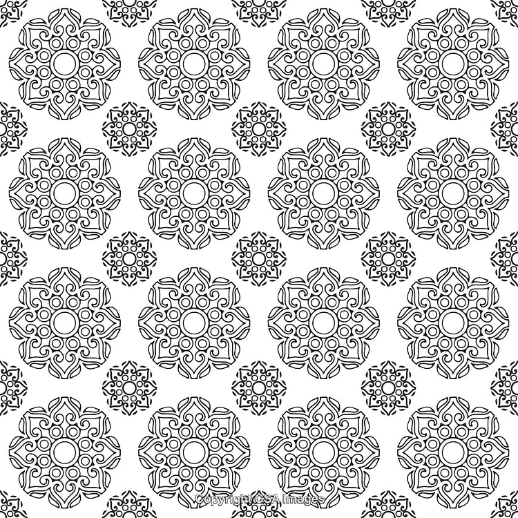 Black and White Ornamental Pattern with Intricate Geometric Designs