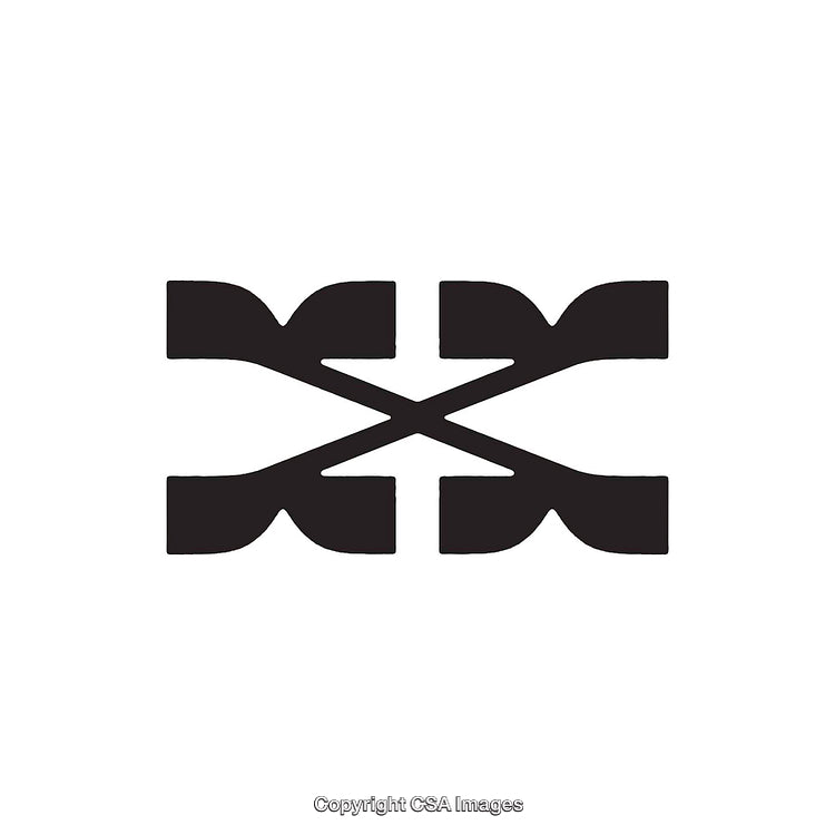Bold Black Abstract Letter X Design on White Background