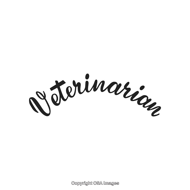 Stylized Typography Featuring the Word Veterinarian in Elegant Cursive Letters