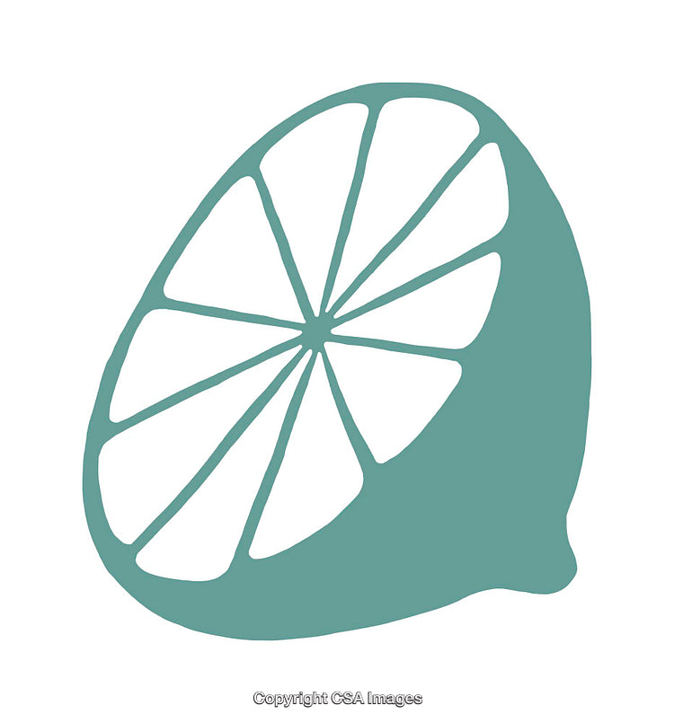 Minimalistic Teal Lemon Slice Illustration on White Background