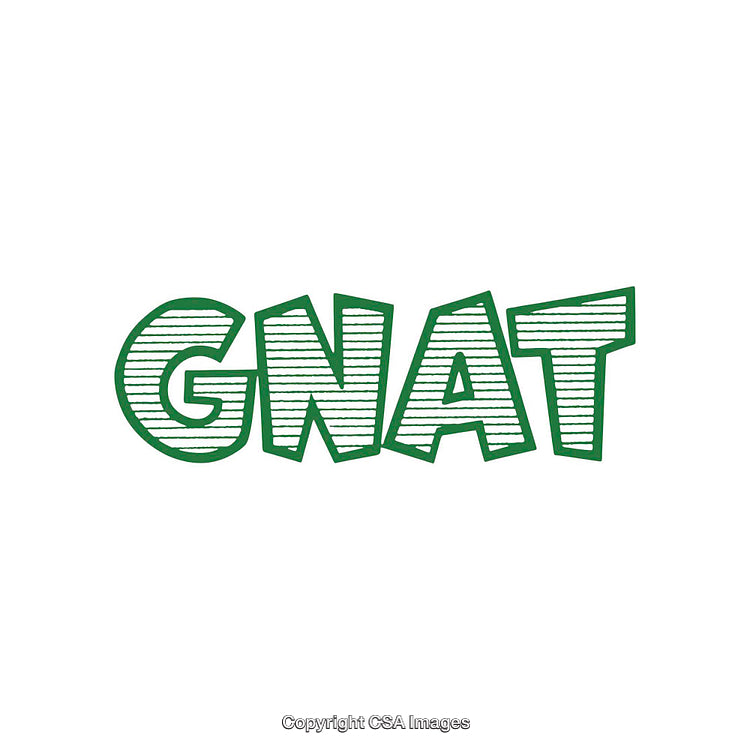 Green Text Illustration of the Word GNAT with Decorative Detailing