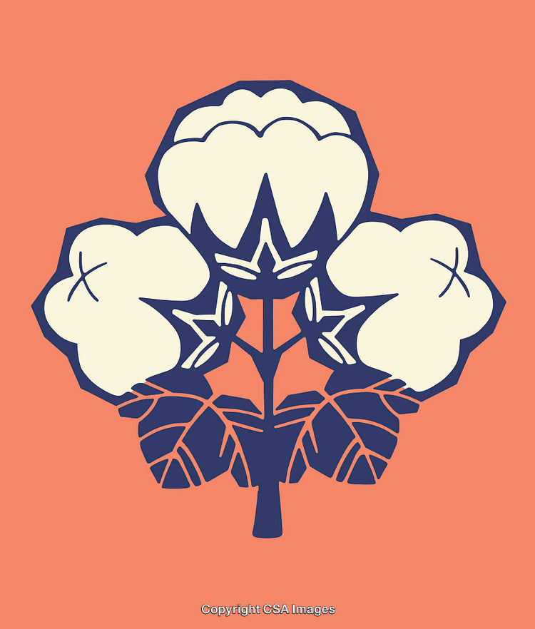 Abstract Cotton Plant Artwork Featuring Bold Colors and Simple Line Art Design