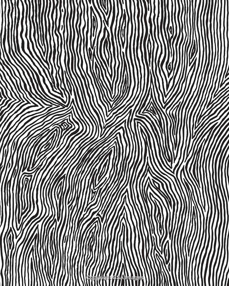 Abstract Black and White Pattern with Organic Flowing Lines