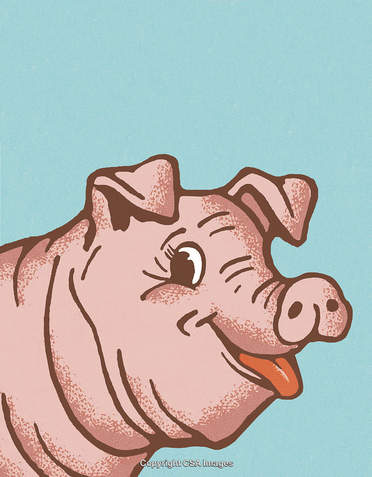 Colorful Vintage Style Portrait Illustration of a Smiling Pig