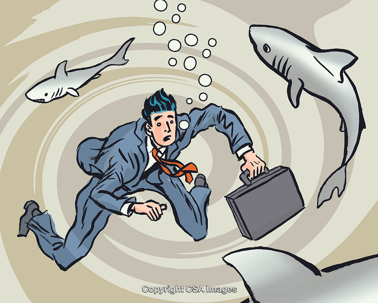 Swimming with the Sharks