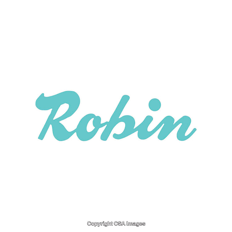 Stylized Name Artwork Featuring Elegant Calligraphy in Minimalistic Design