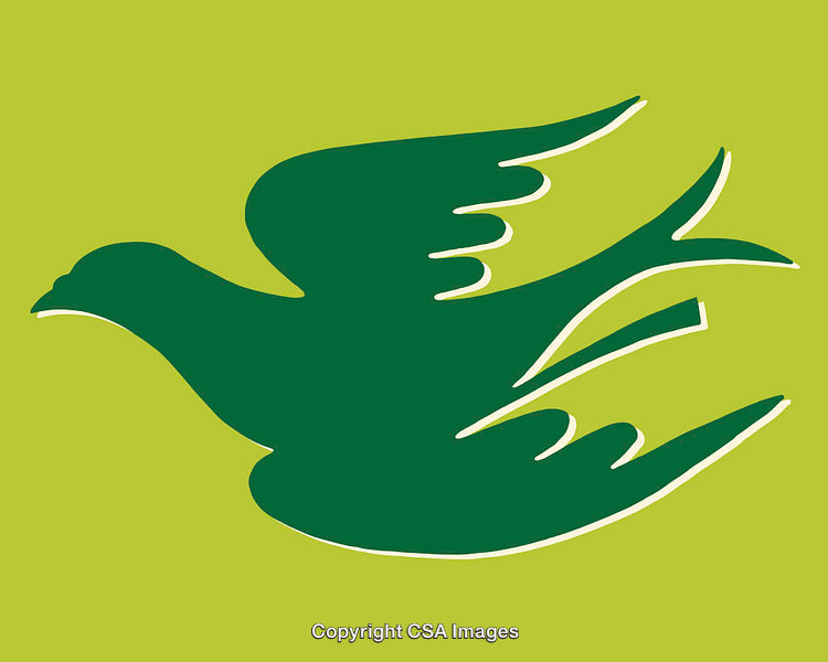 Green Bird Silhouette on a Light Green Background Illustration