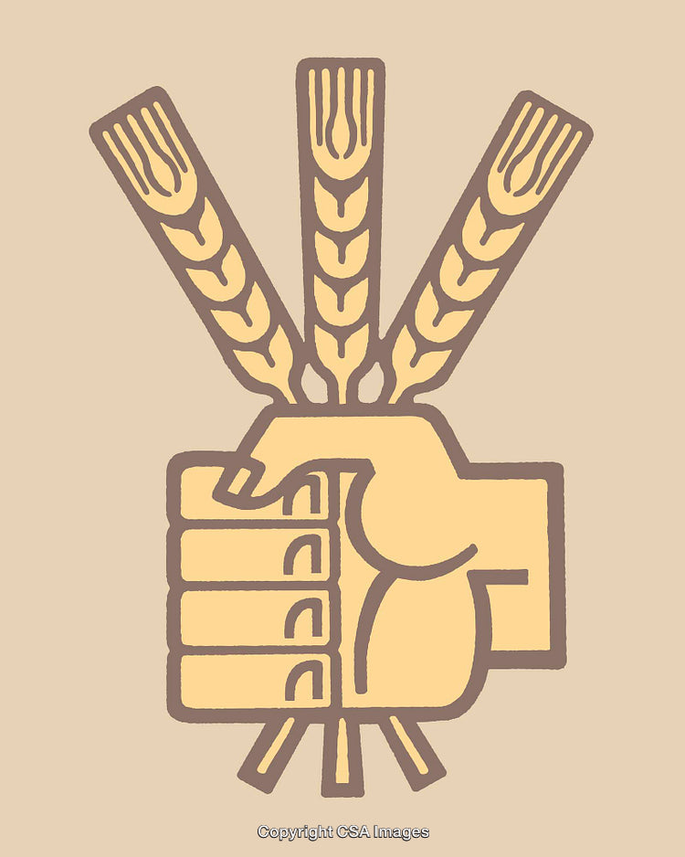 Stylized Artwork of Fist Gripping Three Tall Wheat Stalks on Beige Background
