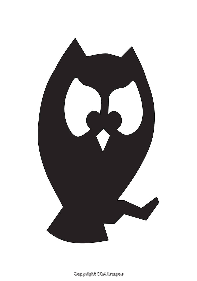 Minimalist Owl Silhouette in Black and White Design