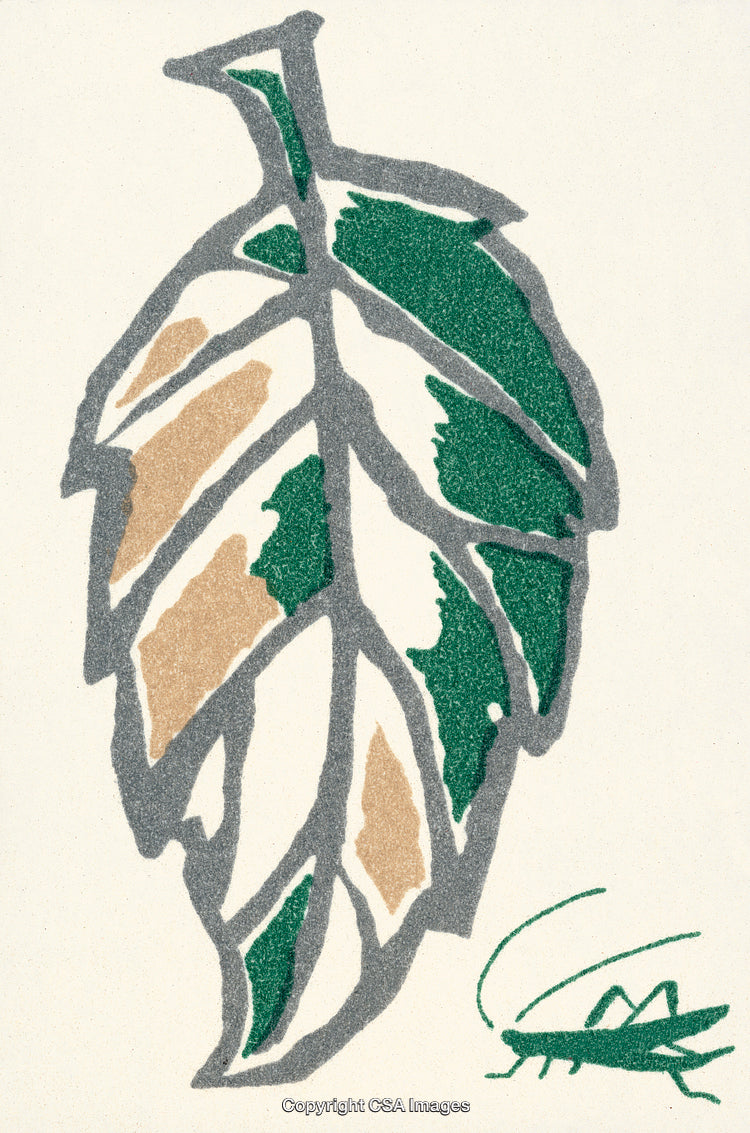 Minimalist Leaf and Cricket Illustration in Green and Earthy Tones