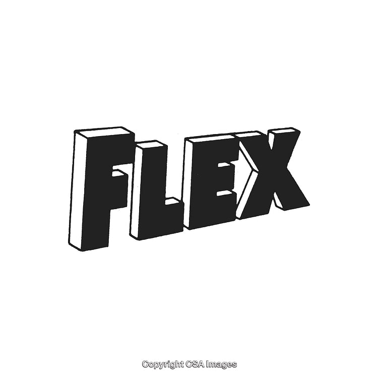 Bold Three-Dimensional Typography With the Word 'Flex' in Black and White