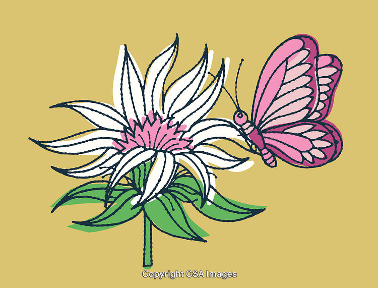 Color Line Art of Butterfly and Flower on Yellow Background