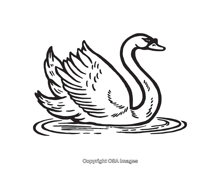 Elegant Swan Illustration in Black and White Line Art Style