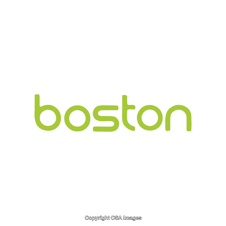 Minimalist Green Boston Logo Text Over White Background