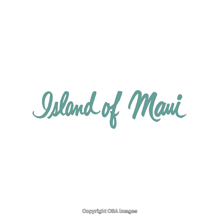 Elegant Script Featuring 'Island of Maui' in Turquoise On White Background
