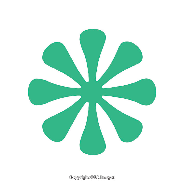 Green Abstract Shape Resembling a Floral Illustration on White Background