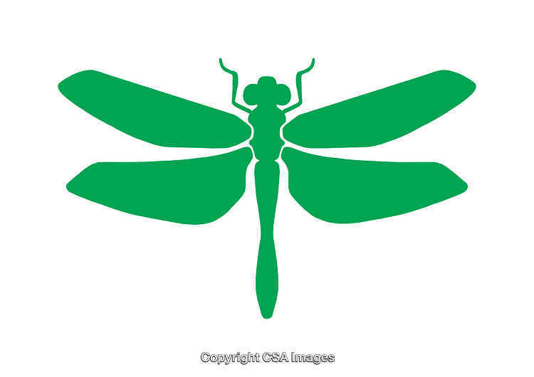 Green Silhouette Icon of a Dragonfly with Spread Wings