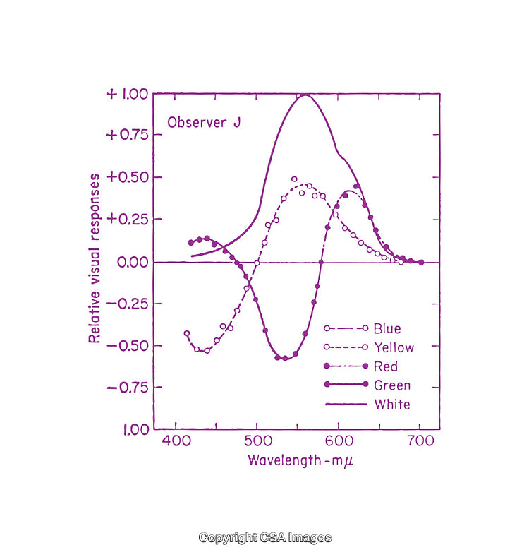 Color Perception and Light Wavelength Graphical Analysis Diagram