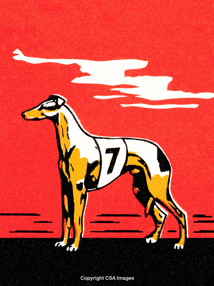 Stylized Artwork of a Greyhound Racer on a Bold Red Background