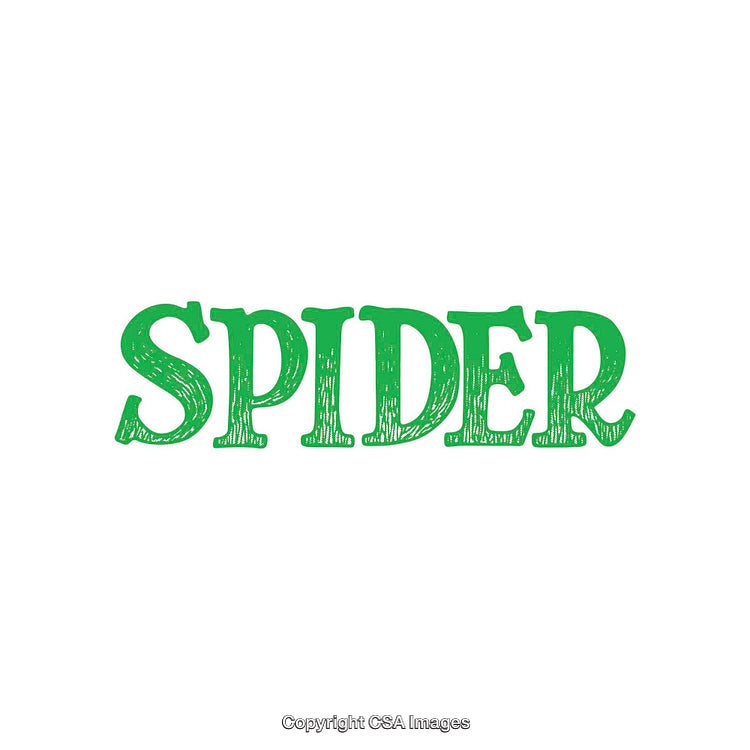 Green Stylized Spider Text on a white Background