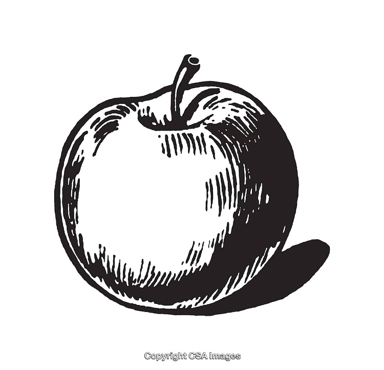 Black and White Line Art of an Apple with Shadow