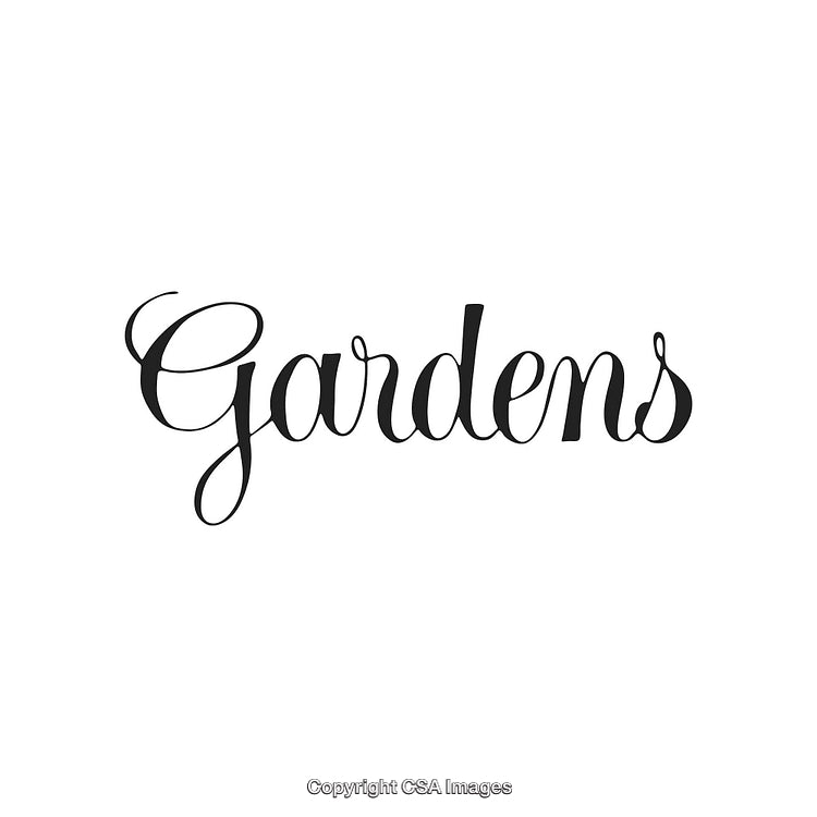 Elegant Handwritten Script of the Word Gardens on White Background