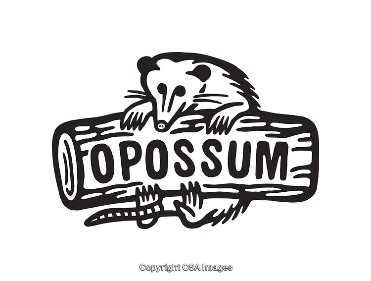 Black and White Illustration of an Opossum atop a Wooden Log Design