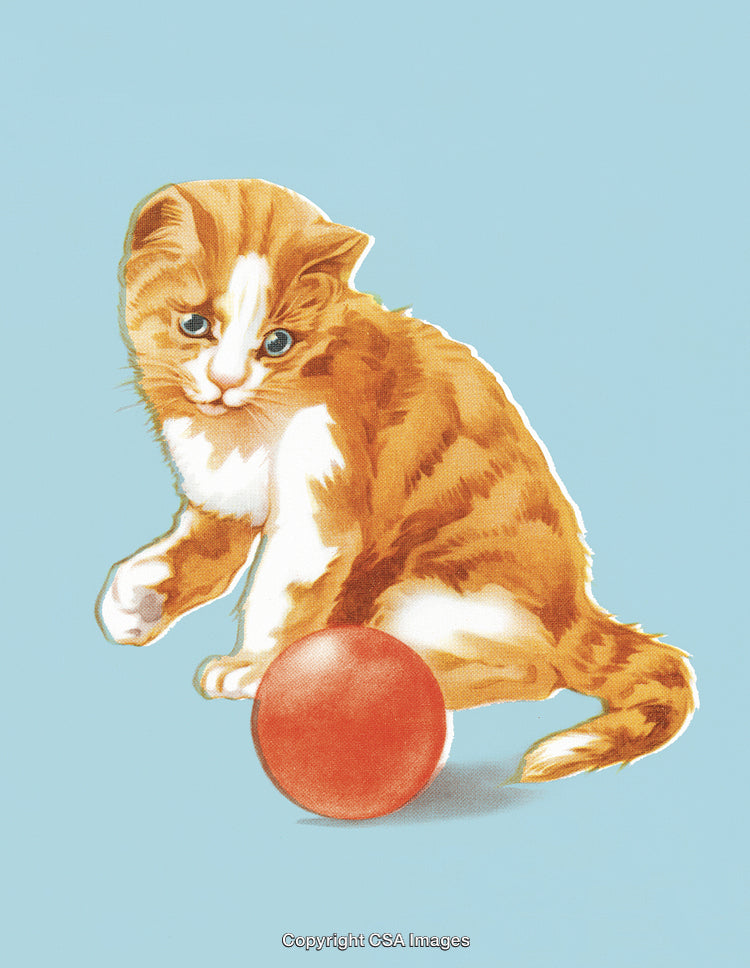 Cute Ginger Kitten Playing With a Red Ball on Light Blue Background