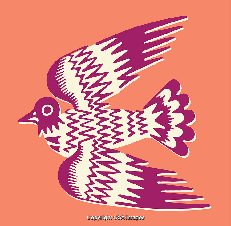 Colorful Abstract Line Art Illustration of a Bird in Flight