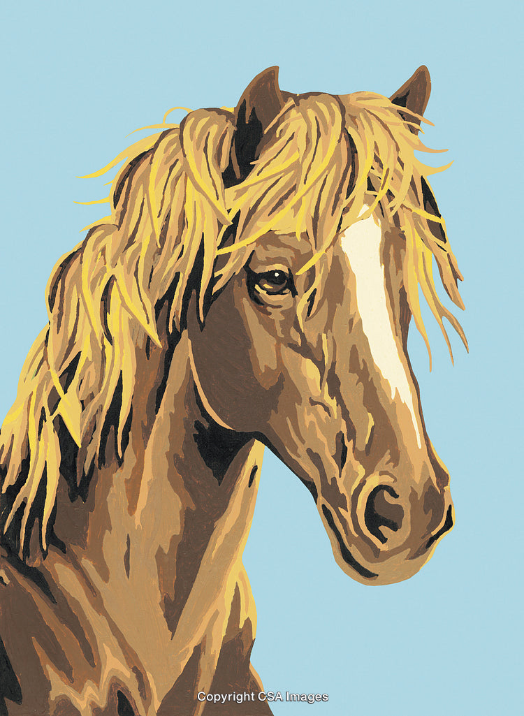 Paint By Numbers Horse Portrait with Detailed Features on Light Blue Background