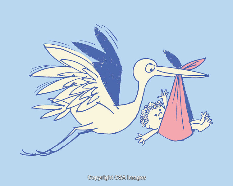 Cartoon Stork Flying With a Newborn Baby in a Red Cloth Bundle