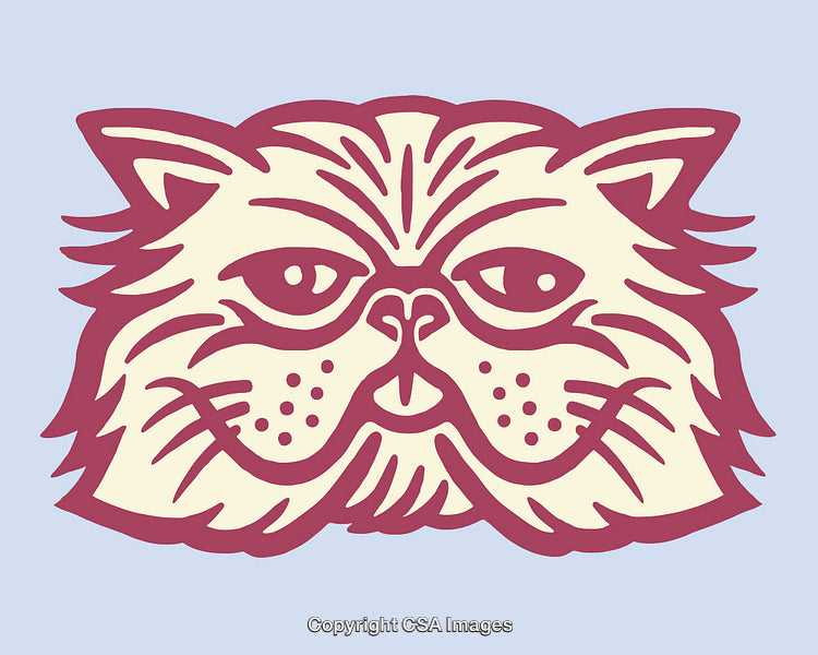 Stylized Flat Art Illustration of a Cat Face in Maroon And Cream