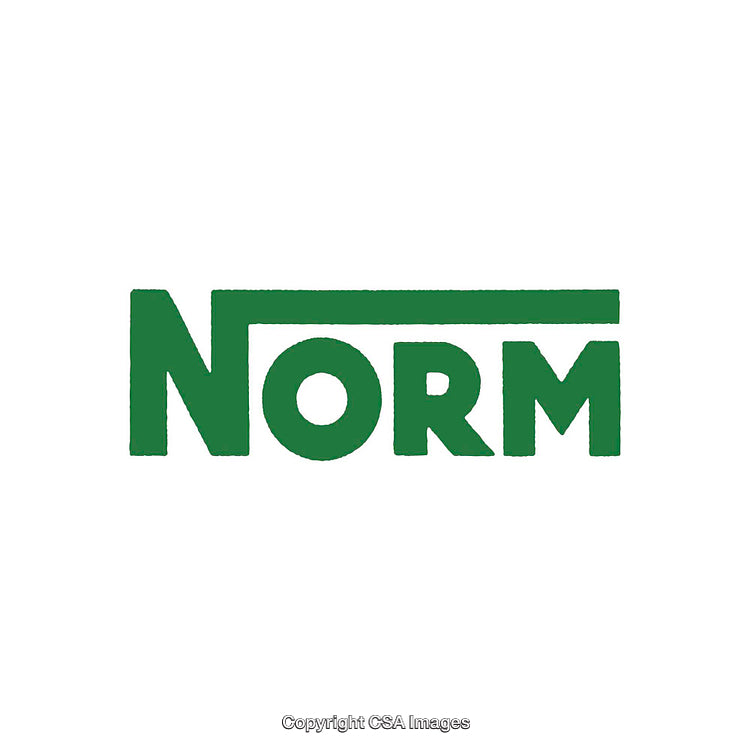Green Norm Text Logo on a White Background with Minimal Design