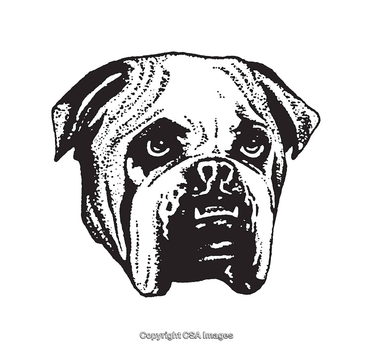 Detailed Black and White Illustrated Dog Artwork in Line Art Style