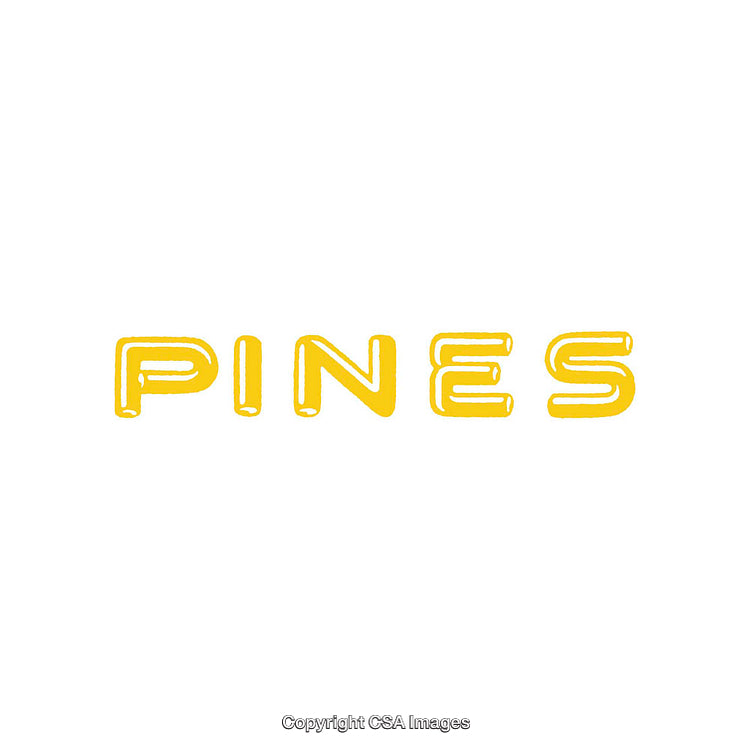 Yellow Text Illustration Displaying the Word Pines on a White Background