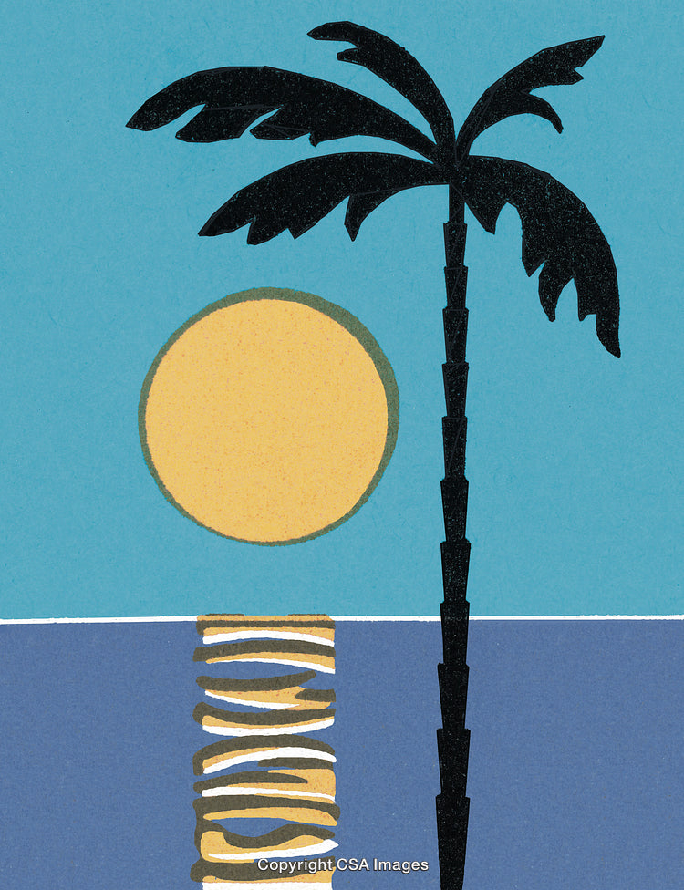 Colorful Minimalist Tropical Scene Featuring Palm Tree and Sun Reflection