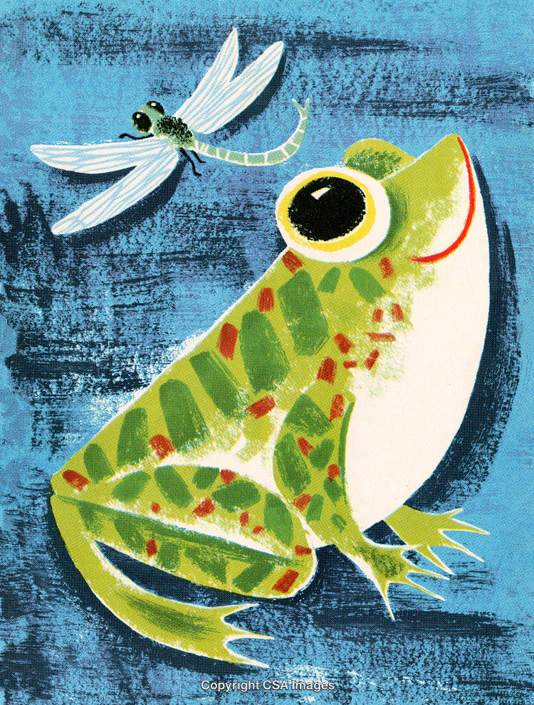 Colorful Illustration of a Frog and Dragonfly in a Vibrant Natural Setting