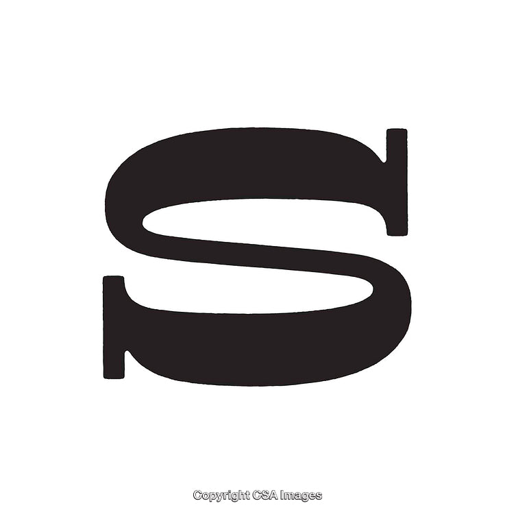 Bold Black Stylized Letter S on a White Background