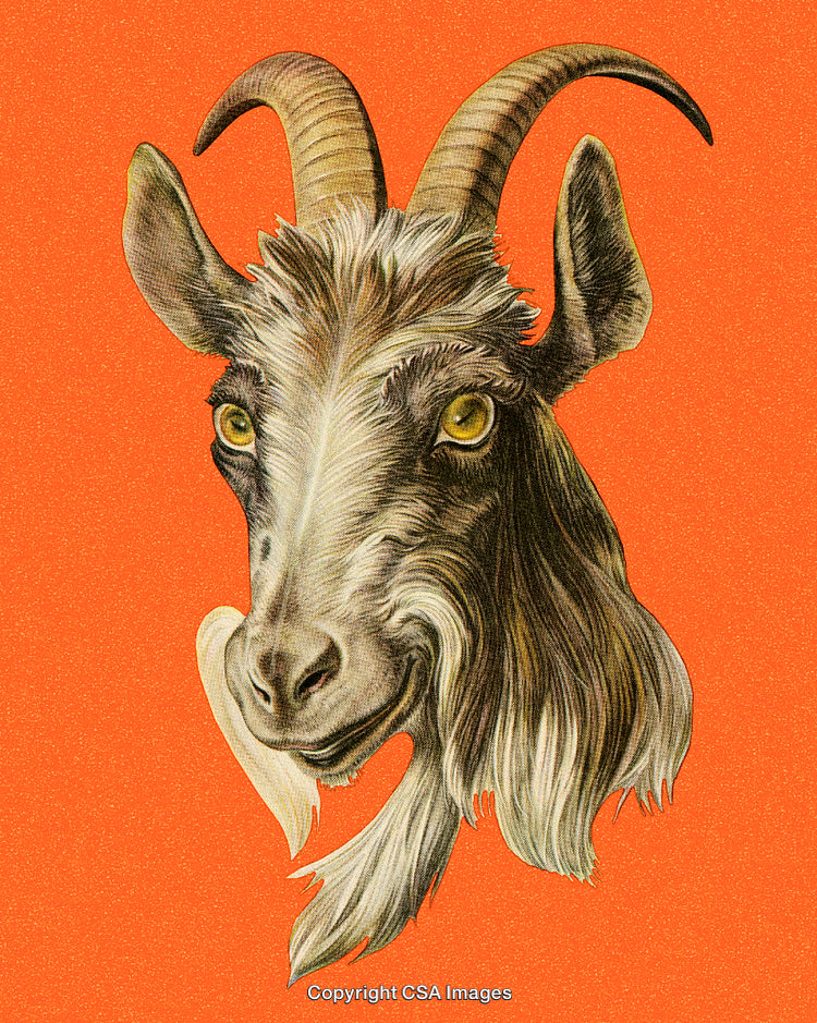 Illustrated Goat Portrait on a Vibrant Orange Background